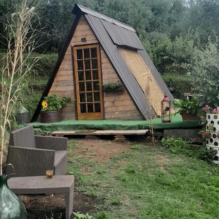 La Fatina Lodge Barga Esterno foto