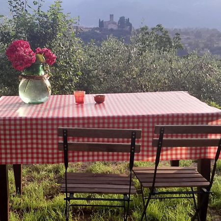 La Fatina Lodge Barga Esterno foto