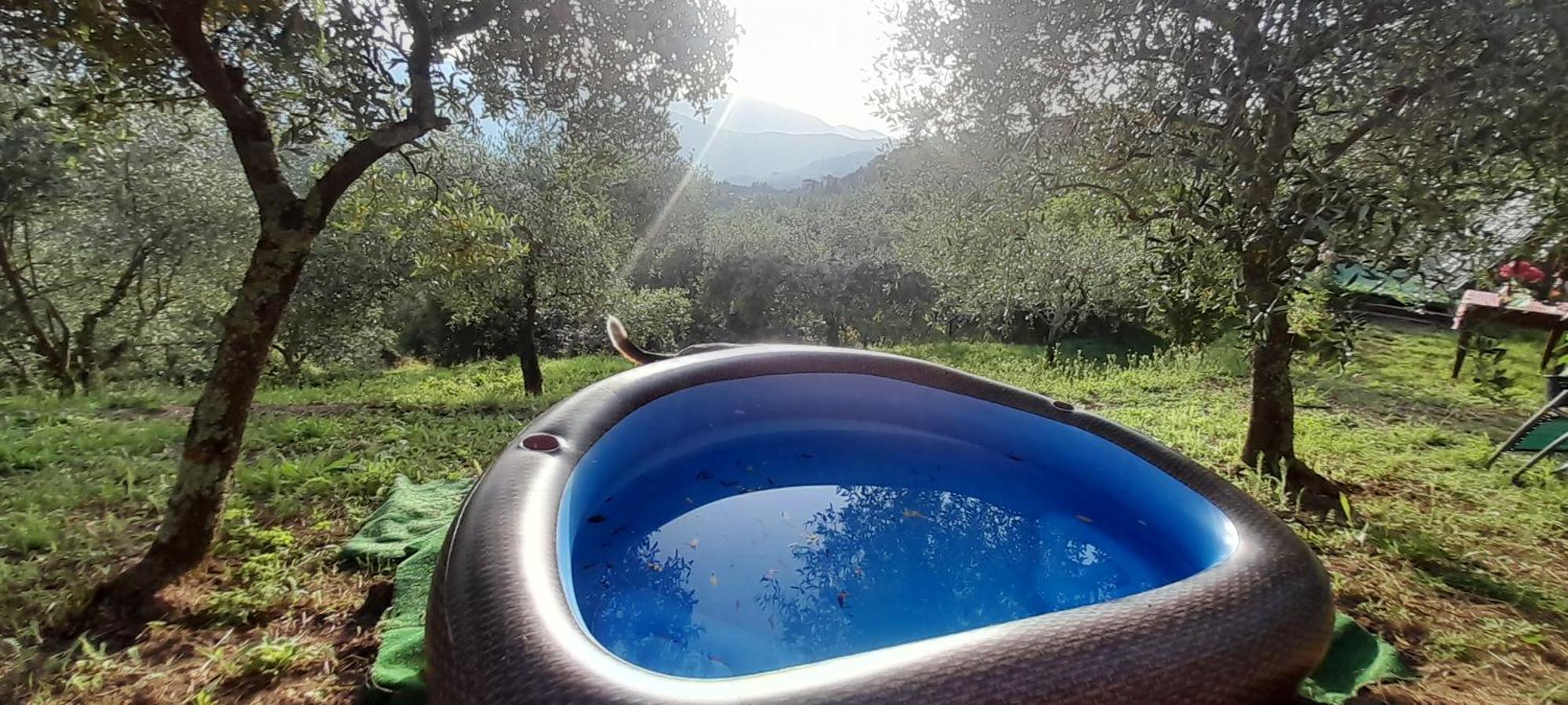 La Fatina Lodge Barga Esterno foto