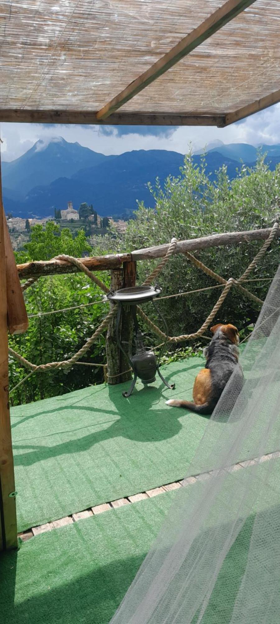 La Fatina Lodge Barga Esterno foto